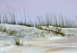 Anastasia State Park Beach