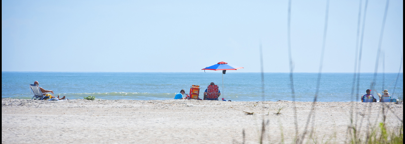 Anastasia State Park Beach Activities 5