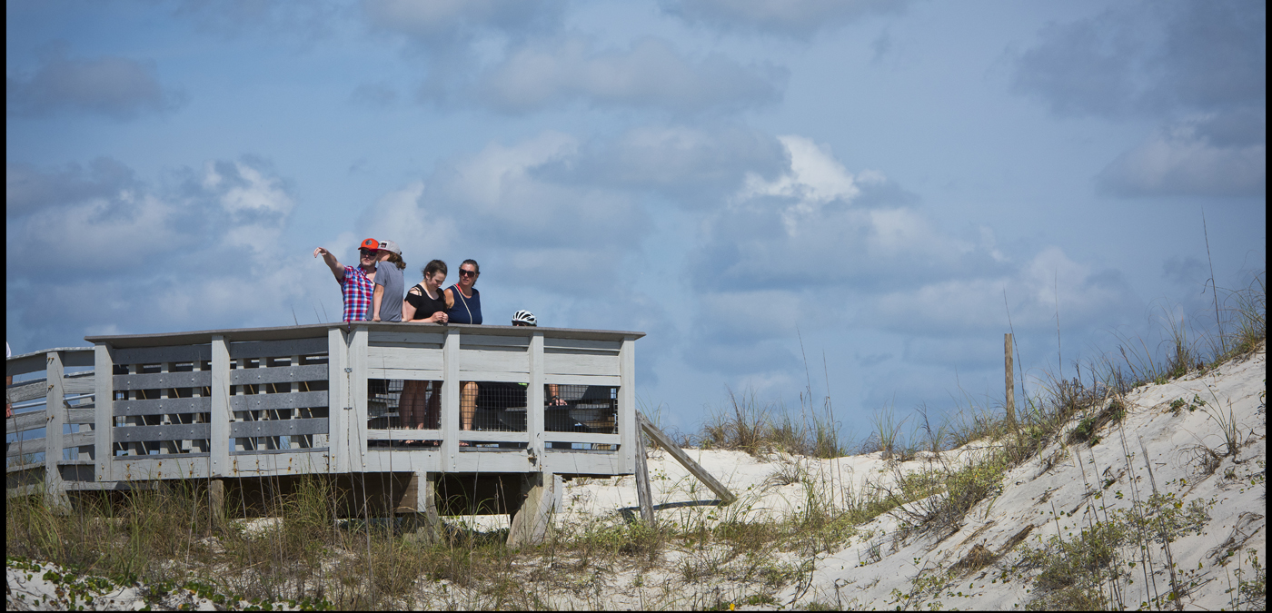 Plan your day at Anastasia State Park