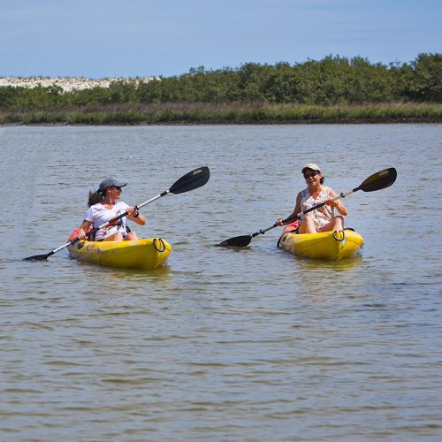 Anastasia State Park Kayacking