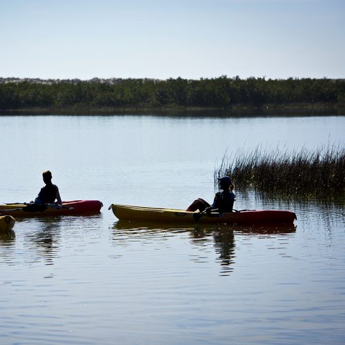 Guided Kayack Tours at Anastasia State Park Beach